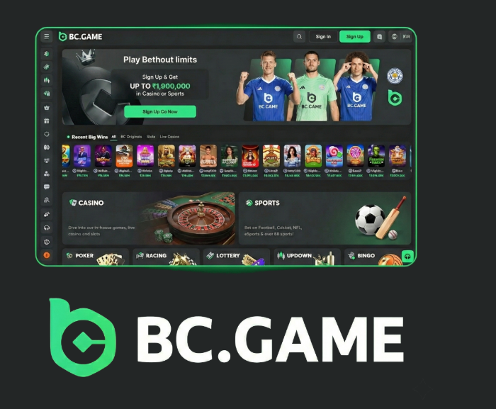 Exploring the BC.Game Platform A Comprehensive Guide to Crypto Gambling